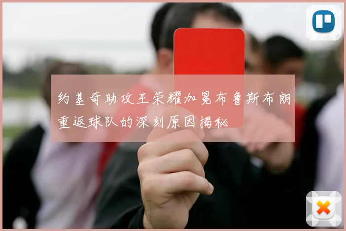 约基奇助攻王荣耀加冕布鲁斯布朗重返球队的深刻原因揭秘