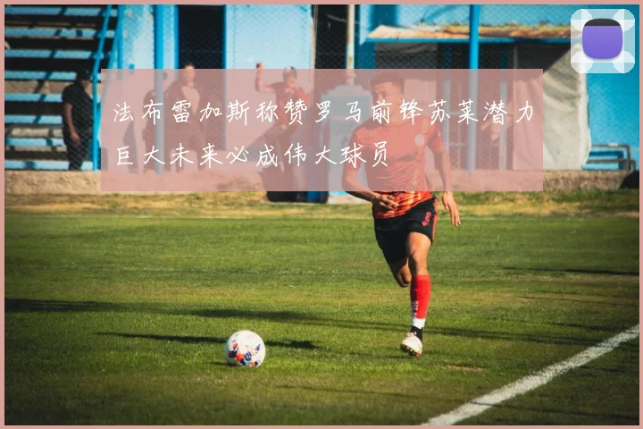 法布雷加斯称赞罗马前锋苏莱潜力巨大未来必成伟大球员