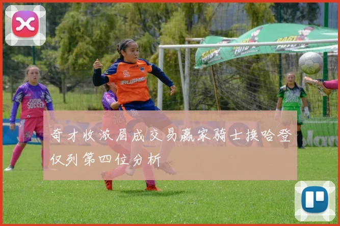 奇才收浓眉成交易赢家骑士换哈登仅列第四位分析