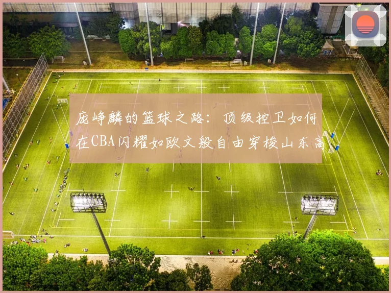 庞峥麟的篮球之路：顶级控卫如何在CBA闪耀如欧文般自由穿梭山东高速